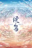 候鸟封面