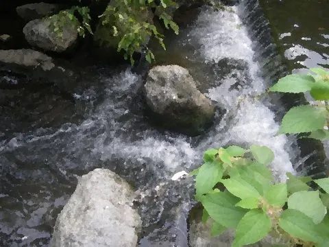 武庫川 · SeaBed取景截图