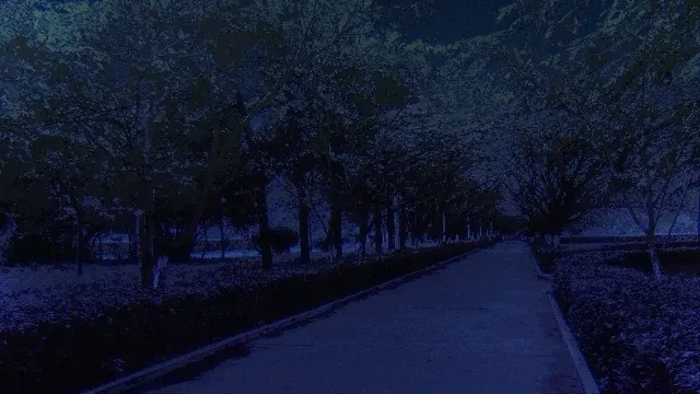 樱花道 · 恋爱泡馍！青春老陕取景截图