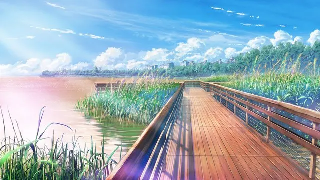 马家湾湿地公园栈桥 · 候鸟取景截图