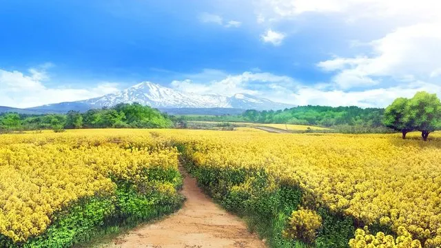 菜の花畑 · さくら、咲きました。取景截图