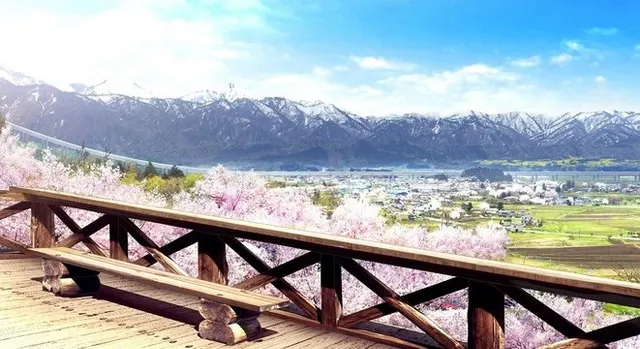 ふれあい展望台 · さくら、咲きました。取景截图