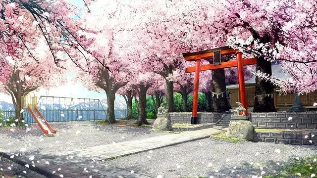 天満神社 · さくら、咲きました。取景截图