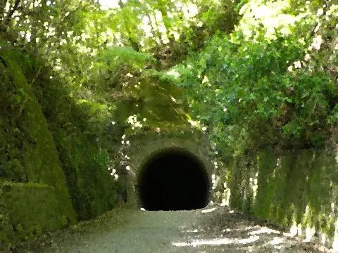 長尾山第二トンネル · SeaBed取景截图