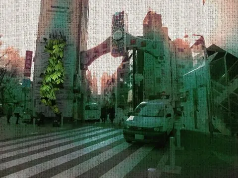 かなめ通り · Forest取景截图