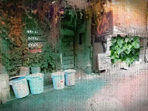 どん底 · Forest取景截图