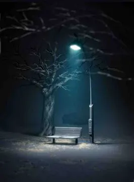 亀戸中央公園 · 魔法使いの夜取景截图