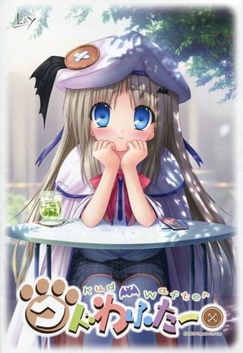 库特Wafter封面